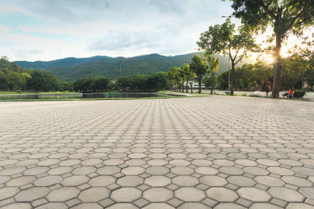 Best Professional Driveway Pavers  in Kennett, MO